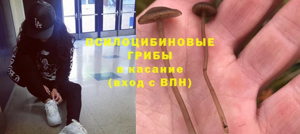 apvp Баксан