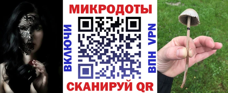 MEGA ONION  Бутурлиновка  Псилоцибиновые грибы Cubensis 