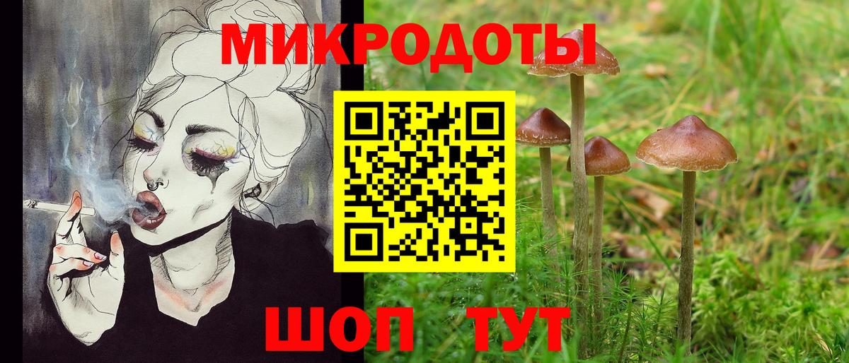 Псилоцибиновые грибы Psilocybe  Псилоцибиновые грибы Cubensis  Бутурлиновка  Вход с VPN 