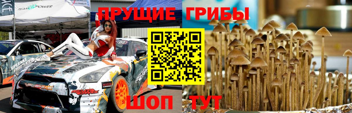 Псилоцибиновые грибы Magic Shrooms Бутурлиновка