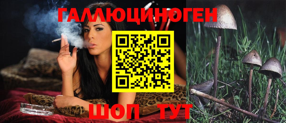 Псилоцибиновые грибы Cubensis Бутурлиновка